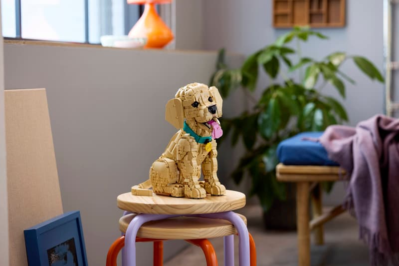 LEGO 11384 Golden retriever Valp - 5