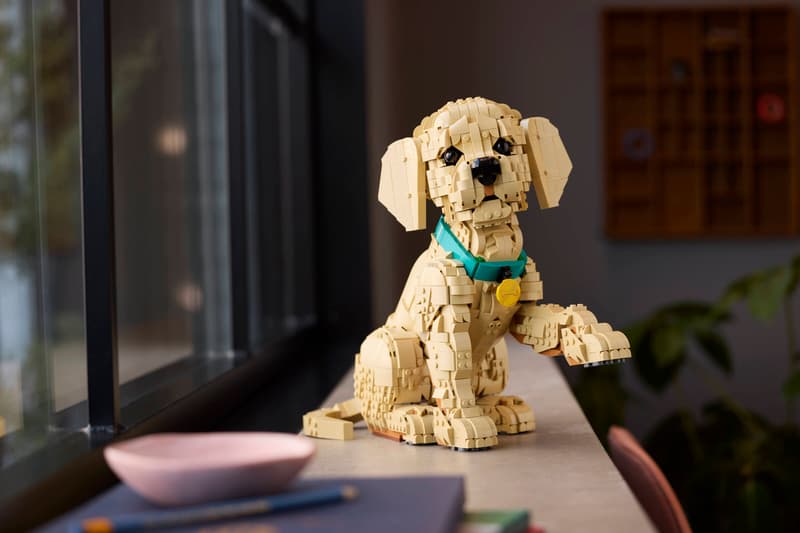 LEGO 11384 Golden retriever Valp - 10