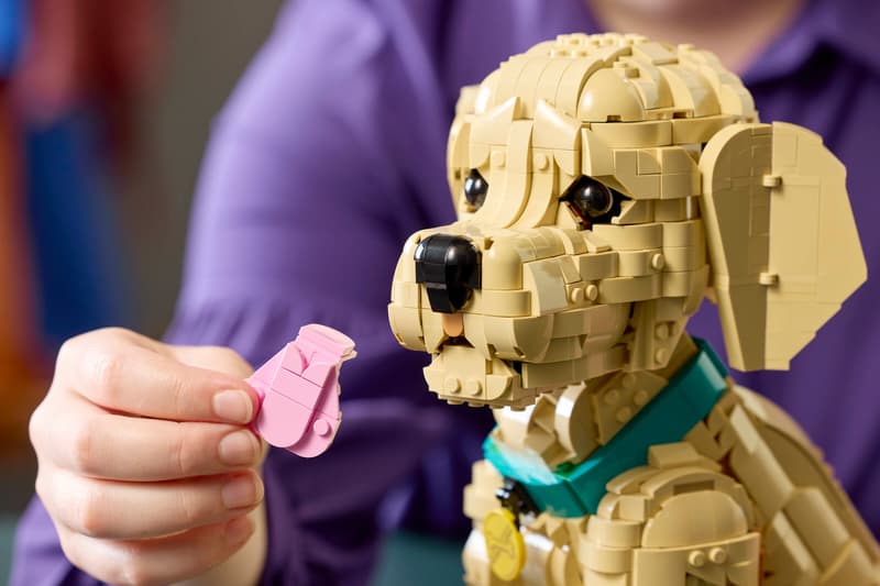 LEGO 11384 Golden retriever Valp - 13