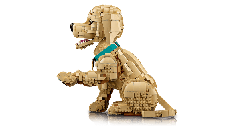 LEGO 11384 Golden retriever Valp - 4