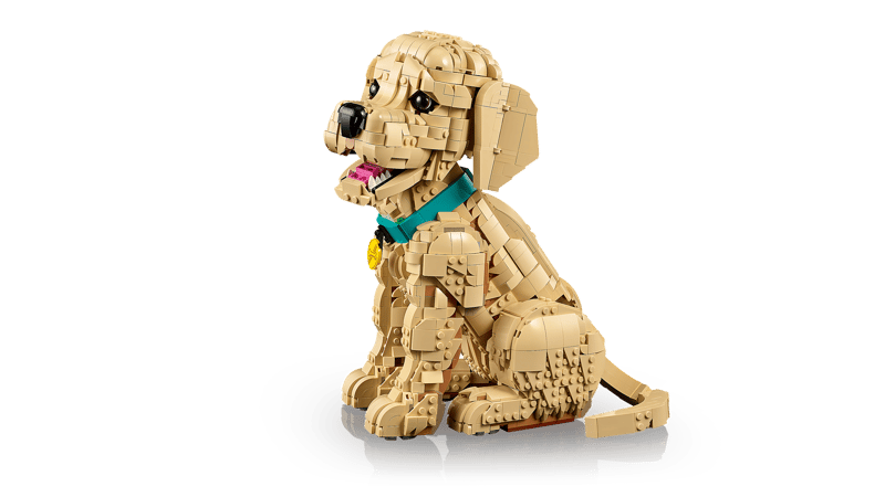 LEGO 11384 Golden retriever Valp - 9