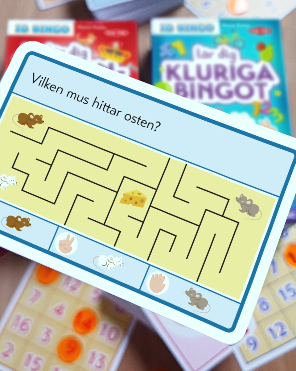 Tactic Lär Dig Kluriga Bingot - 5