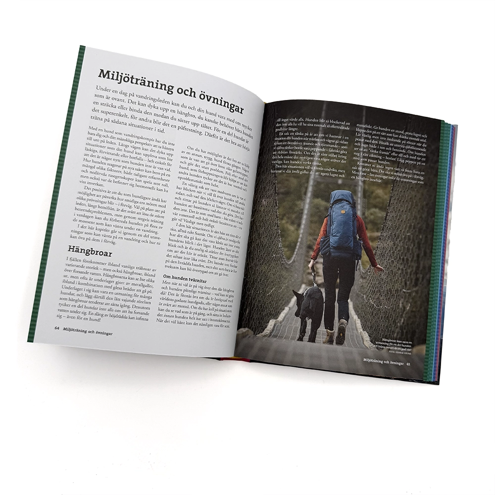 Guide för att vandra kort eller långt med hund sova i tält med hund