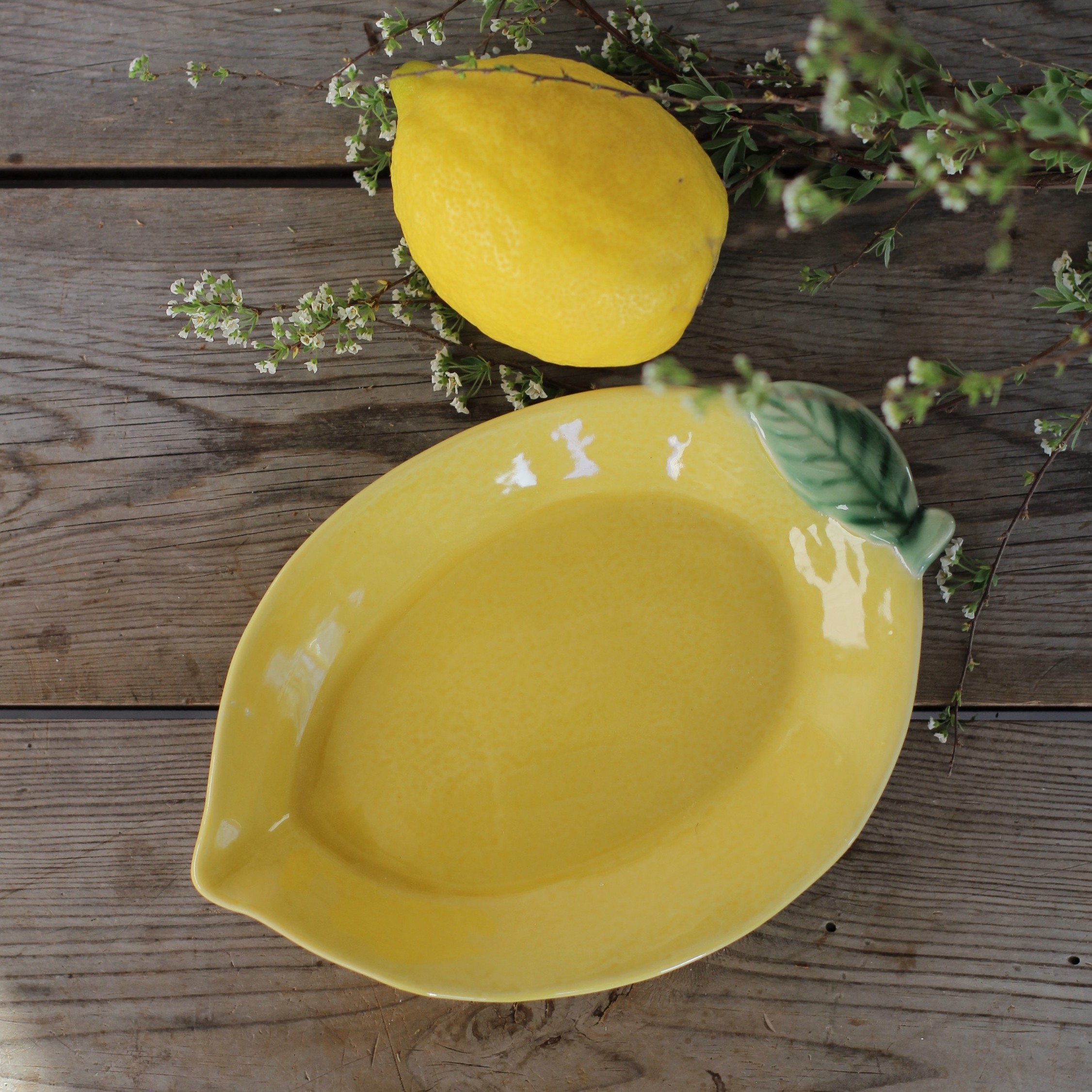 Citron Fat - 2