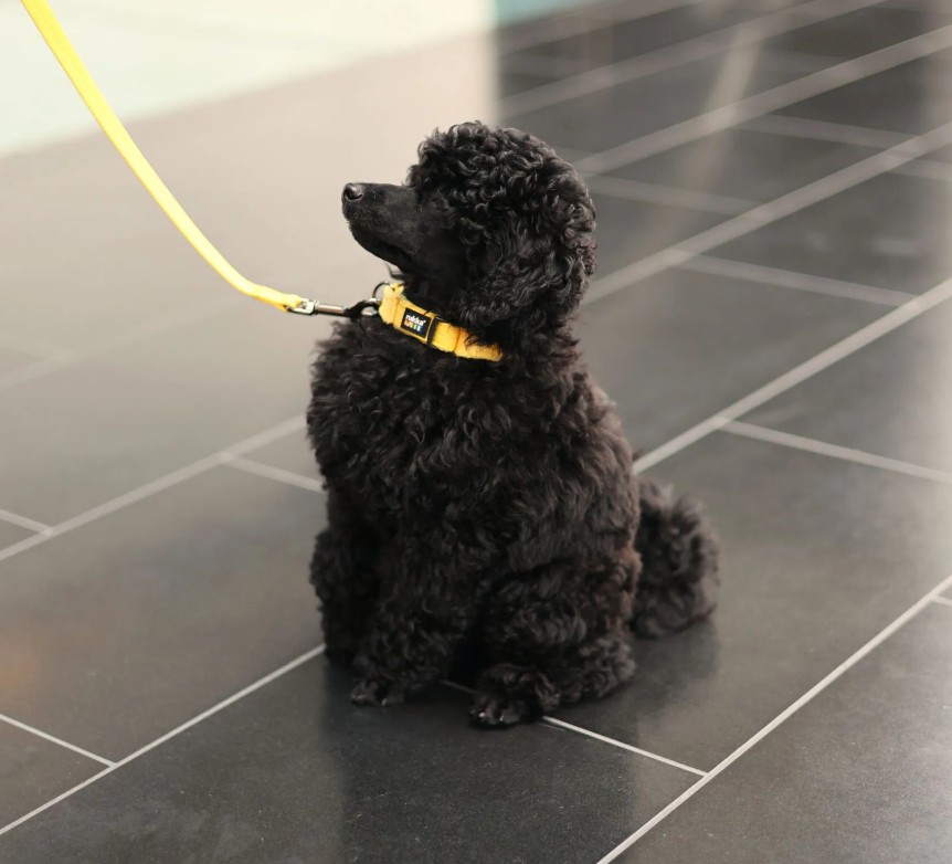 Rukka Tiny Collar, gul - 3