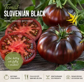 Tomat ‘Slovenian Black’ – mörk elegans med fyllig smak