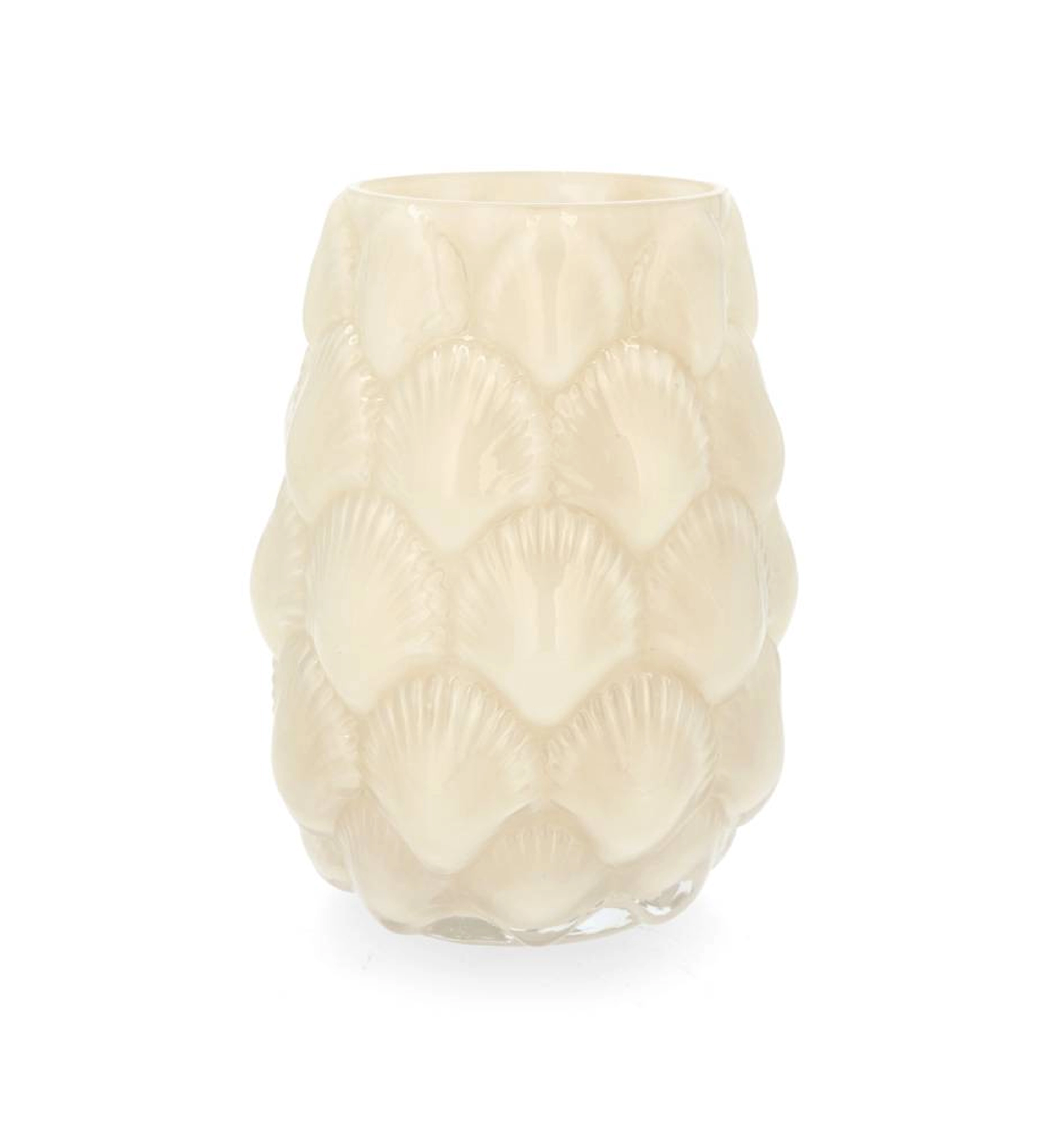 Vase Shells