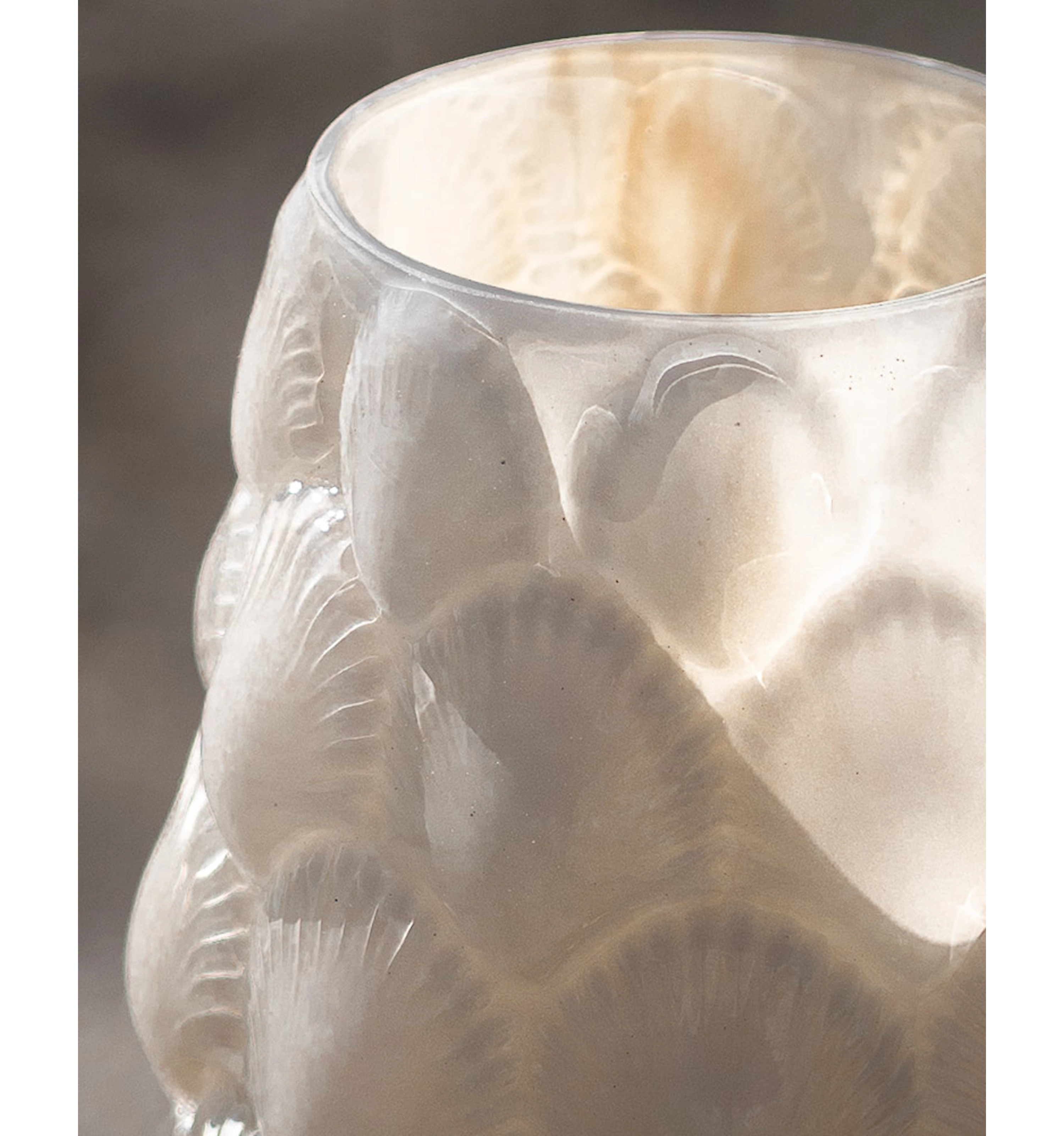 Vase Shells - 2