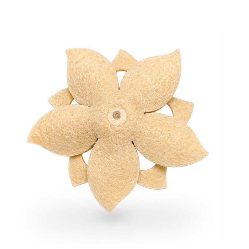 STRASSBLOMMA | LOTUS - champagne - 2