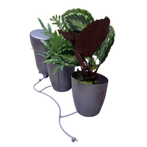 AutoPot Khloris Bevattningssystem – komplett kit