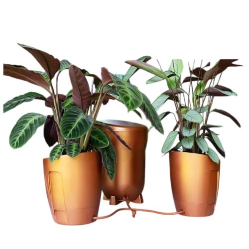 AutoPot Khloris Bevattningssystem – komplett kit - 3