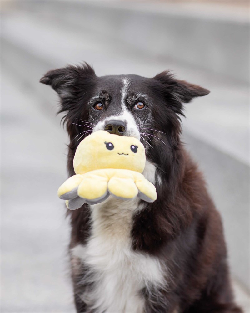 Trixie Hundleksak Vändbar Bläckfisk Plysch Grå/Gul 19cm - 5