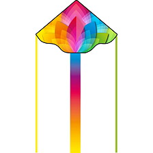 Delta Rainbow Simple Flyer
