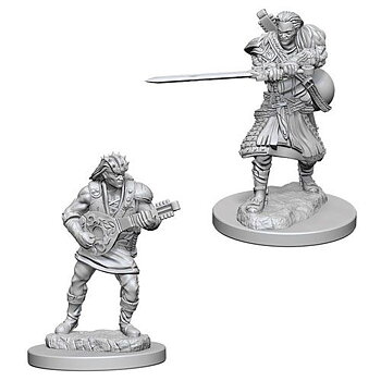 D&D Nolzur's Marvelous Unpainted Minis: Male Human Bard
