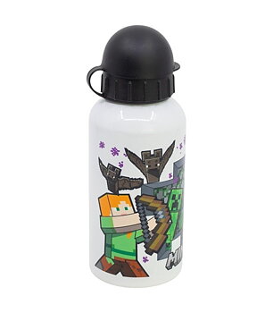 Minecraft Vattenflaska 400ml Overview