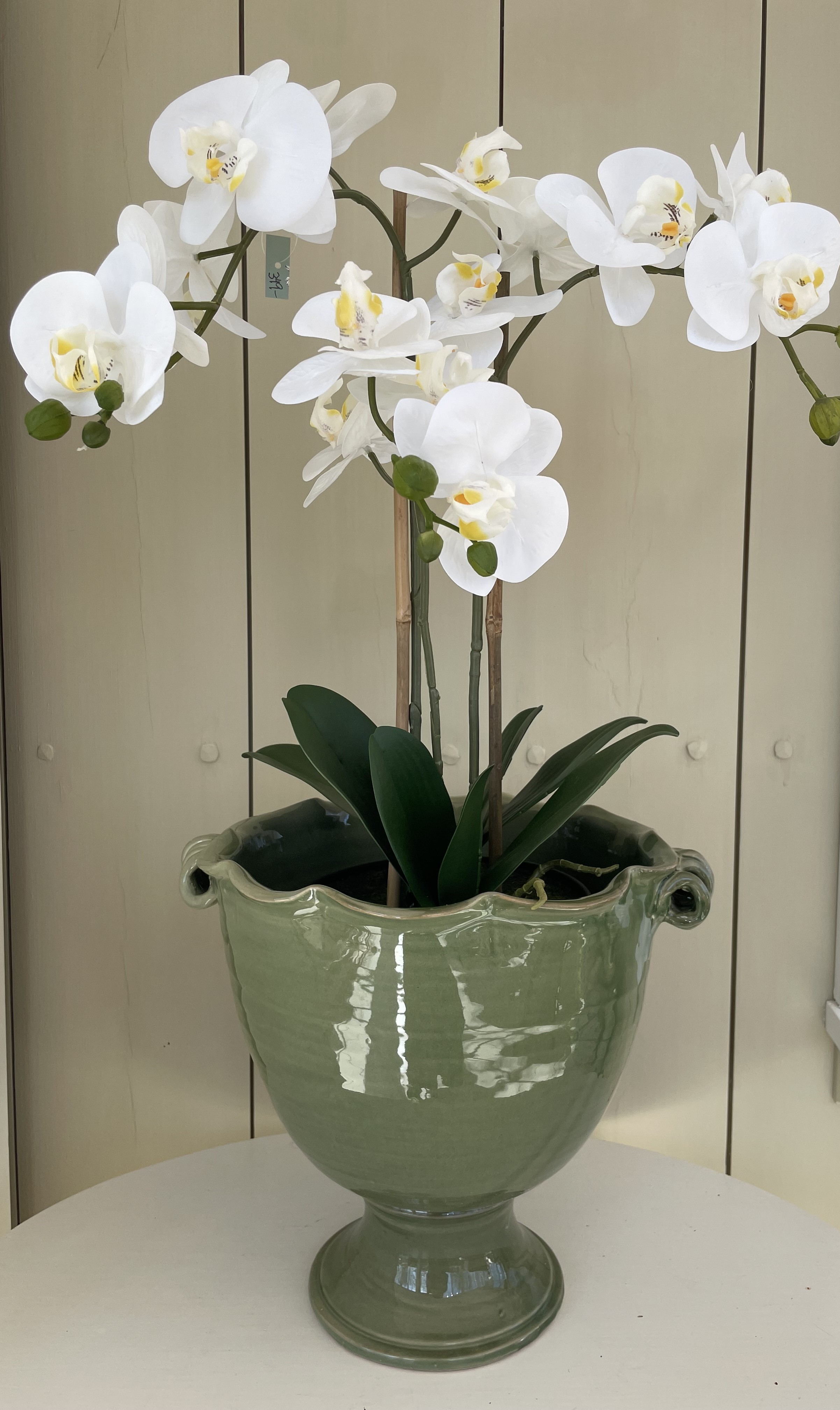 1. Freja pot jade - 2