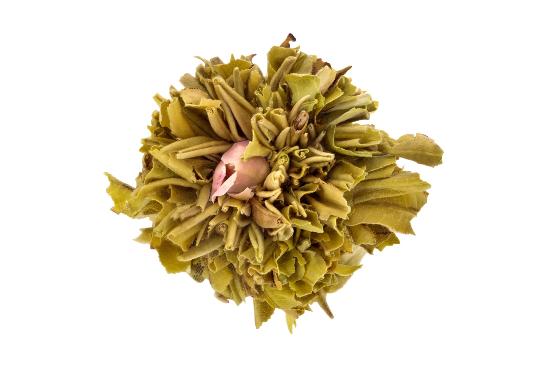 White rose - Blooming tea - 1st