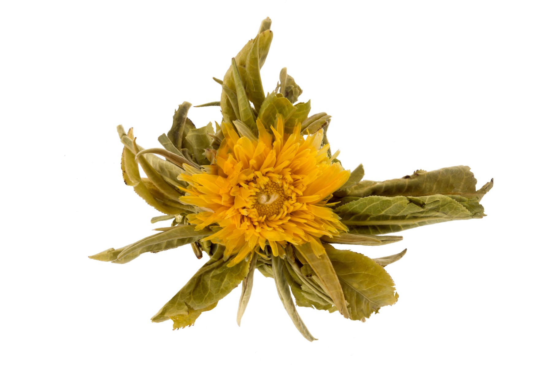 Blooming Day - Blooming tea - 1st