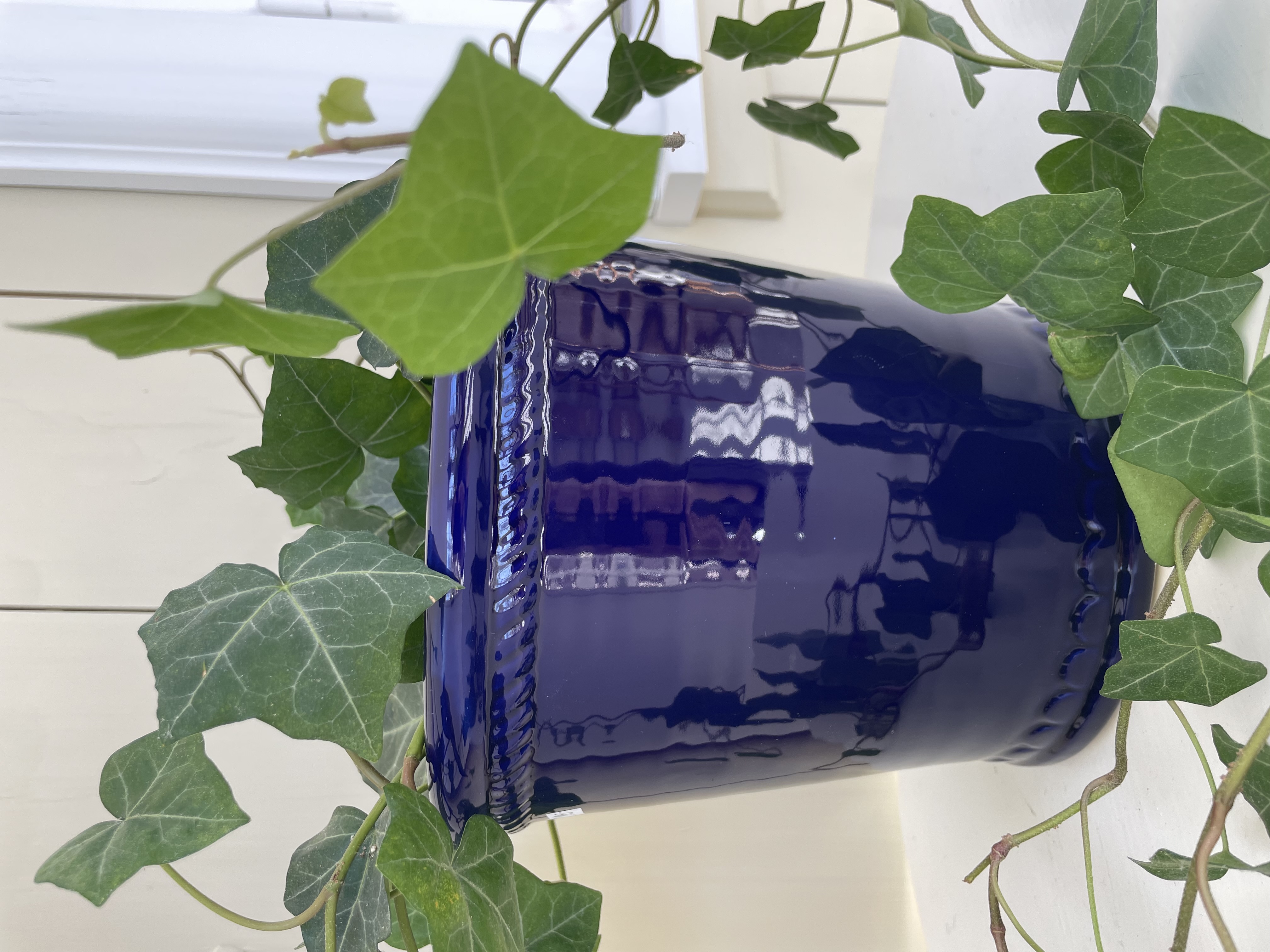 Coboltblå kruka - 2