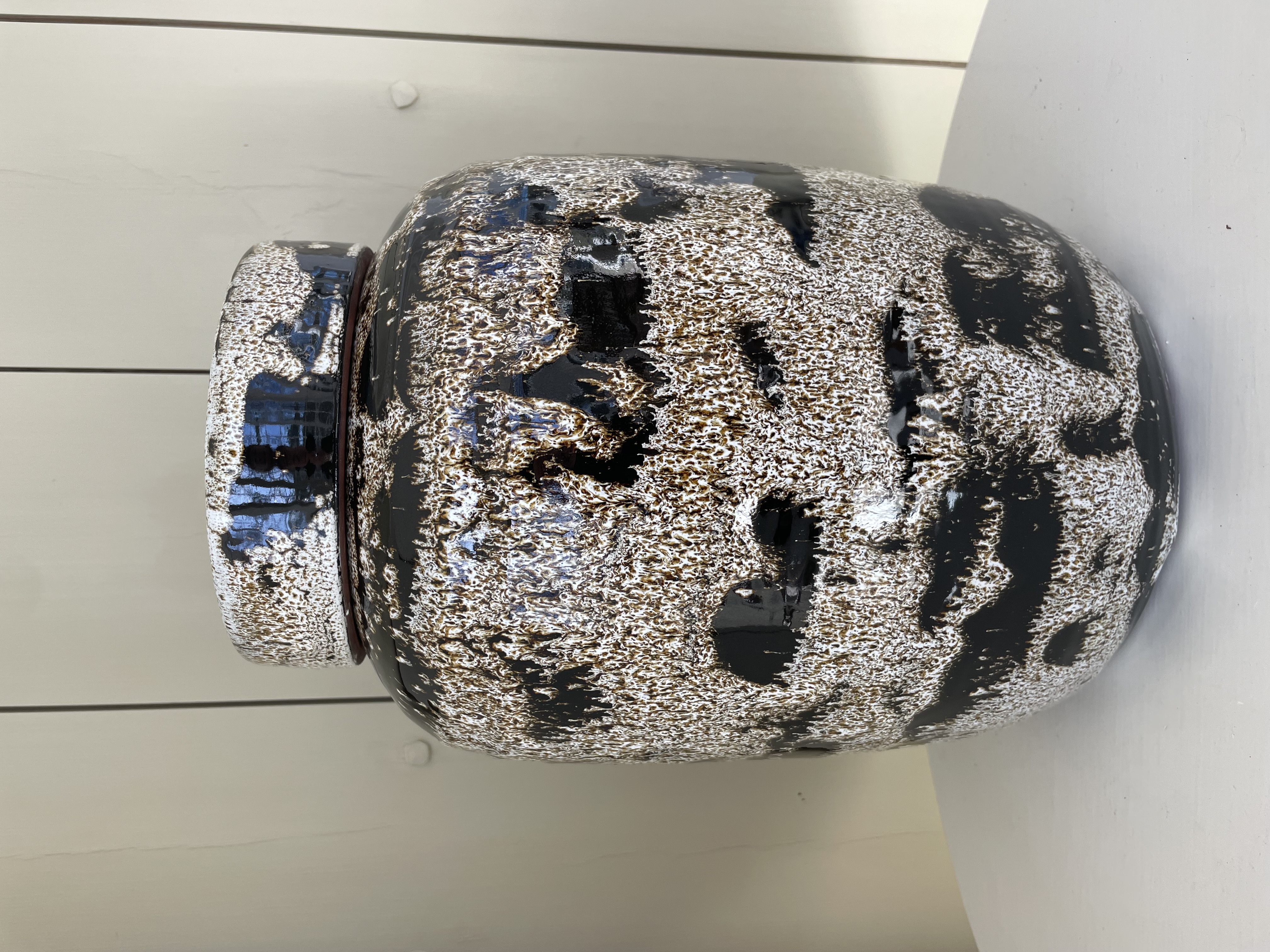 Spräcklig lockurna