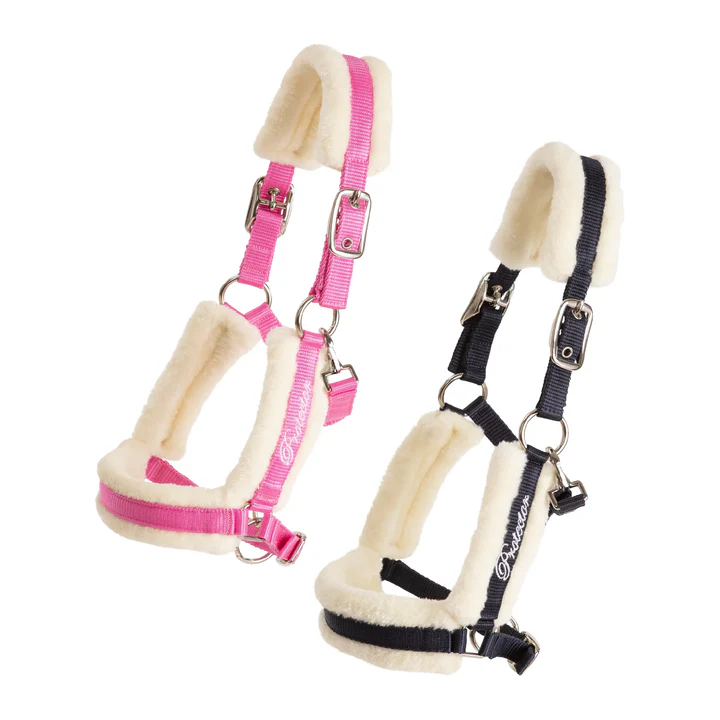 KÄLLQUIST FOAL HEADCOLLAR PROTECTOR KENZO