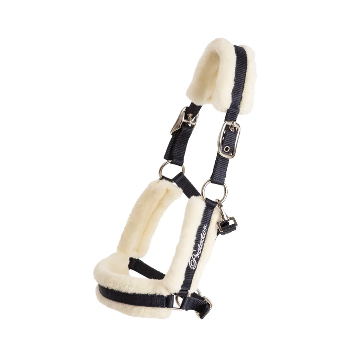 KÄLLQUIST FOAL HEADCOLLAR PROTECTOR KENZO - 2