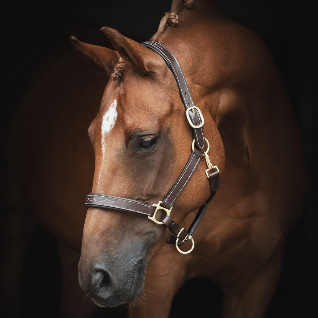 LIPPO LEATHER HALTER FANCY