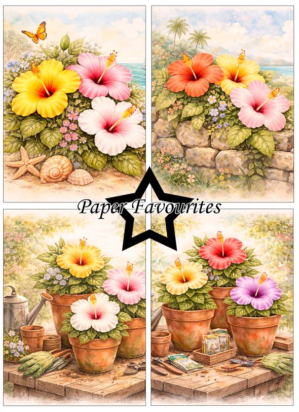 Paper Favourites Hibiscus A6 Paper Pack  - 3