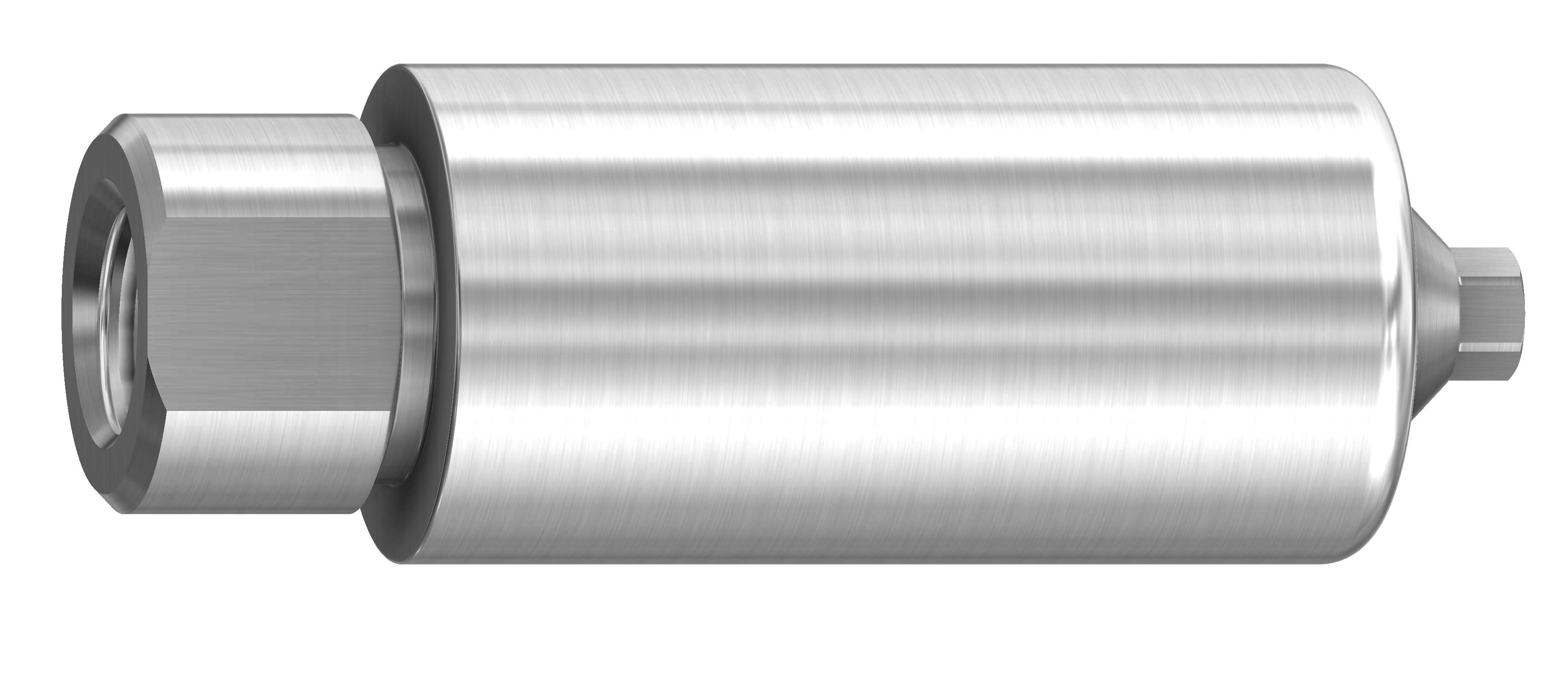  Pre-milled blank titan 5,5 10 mm för Bego®