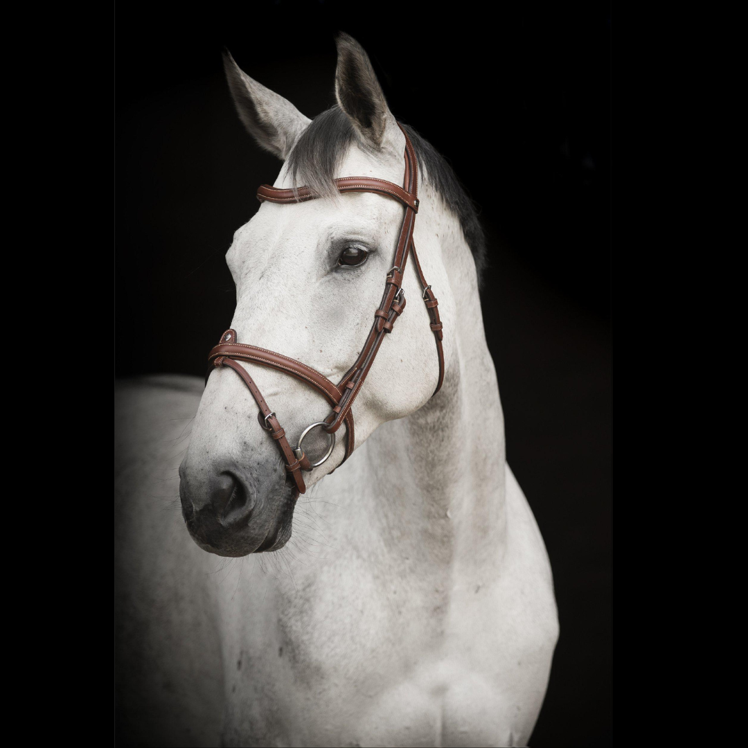 LIPPO BRIDLE LIPPO ECCELENTE AACHEN