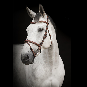 LIPPO BRIDLE LIPPO ECCELENTE AACHEN
