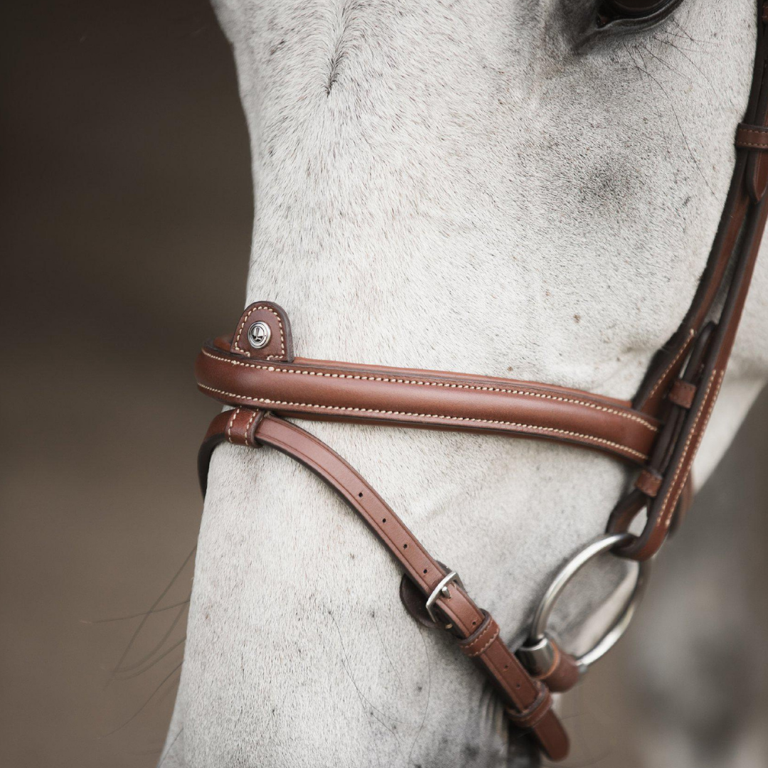 LIPPO BRIDLE LIPPO ECCELENTE AACHEN - 5