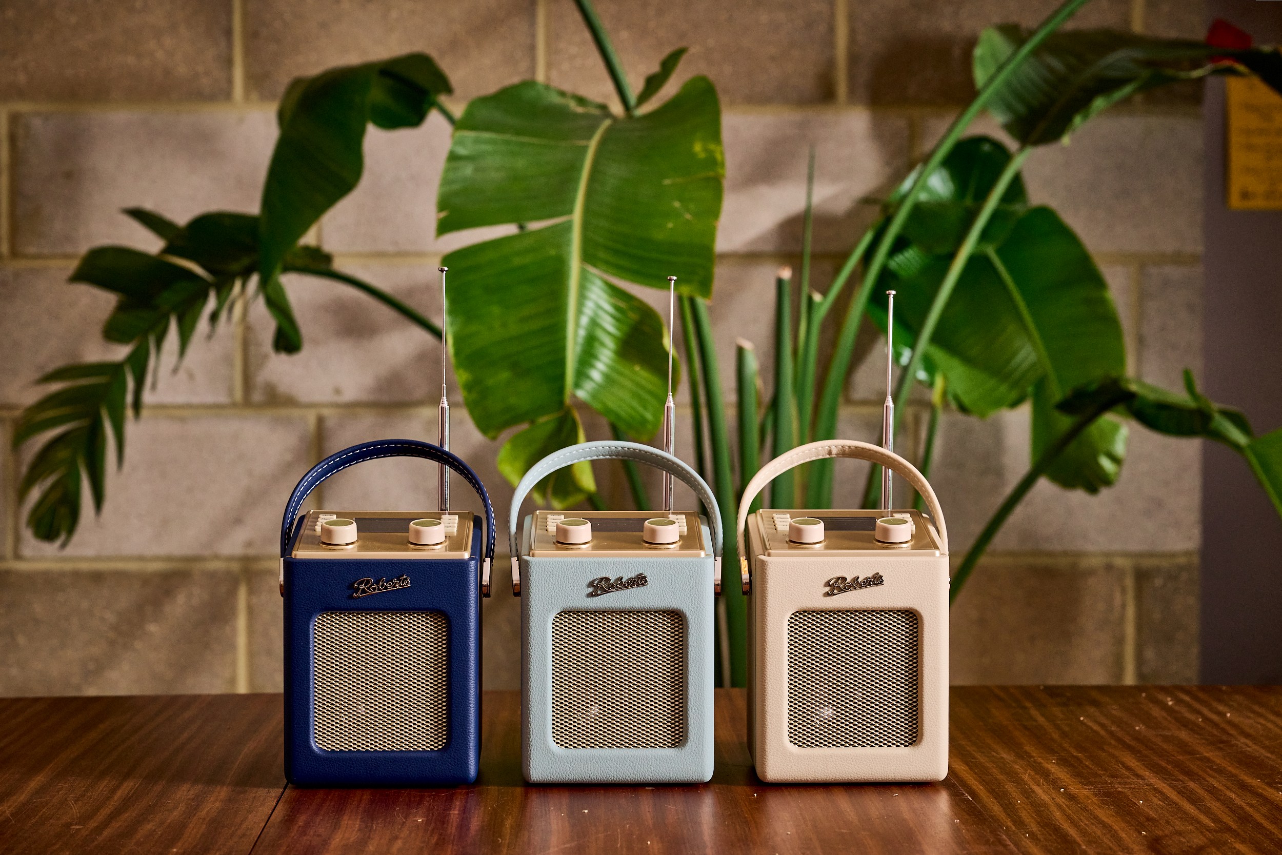 Roberts Radio MINI 2 DUCK EGG - 3