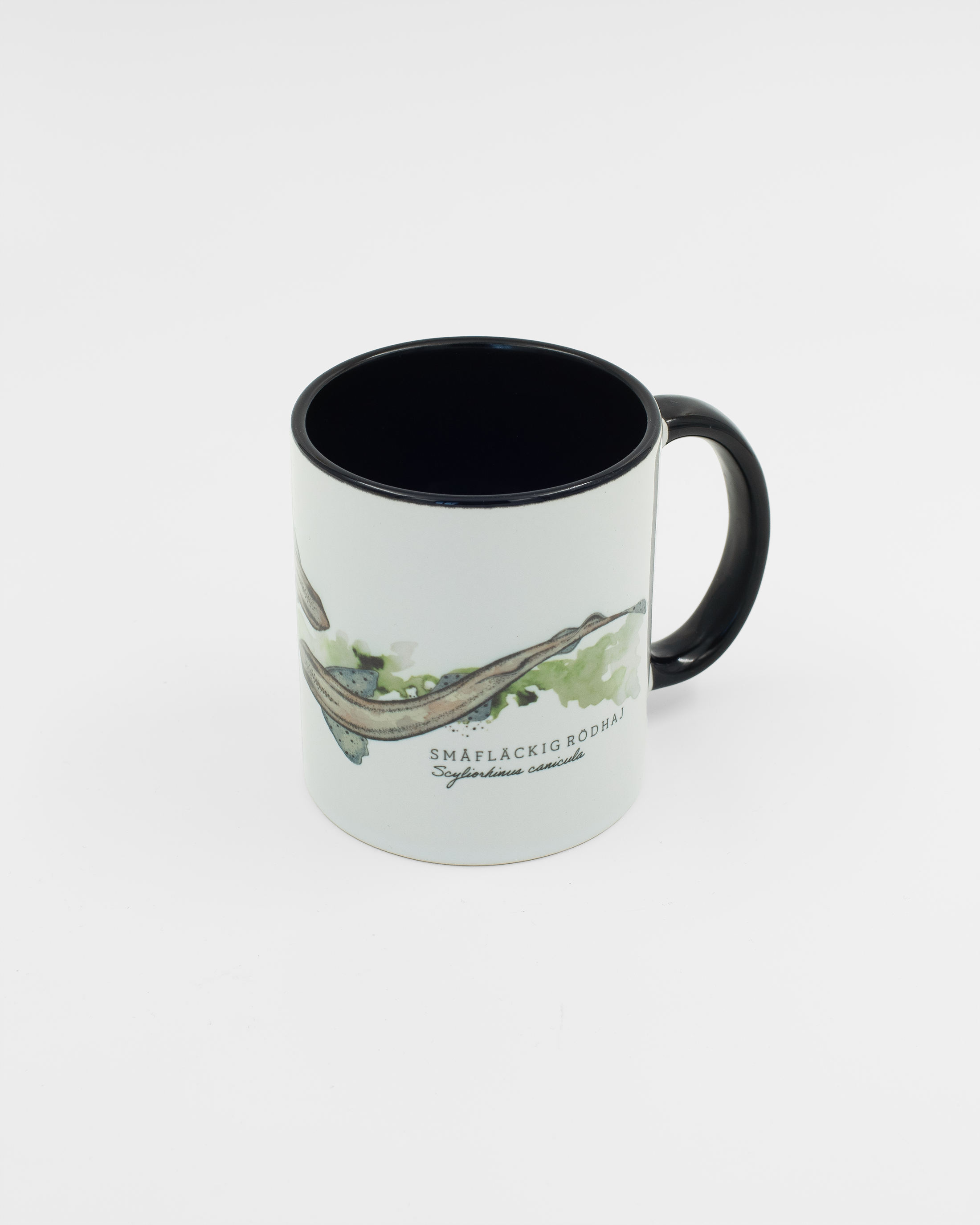 Mugg Småfläckig rödhaj