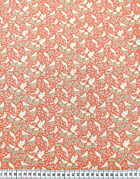 Songbird Collection - Ava Coral