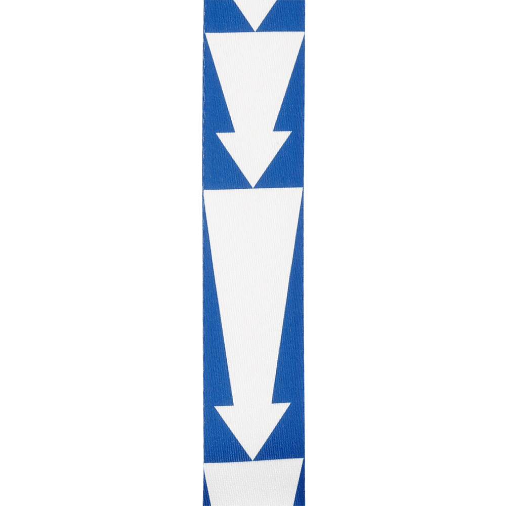 D'Addario 50BTL12 - 2