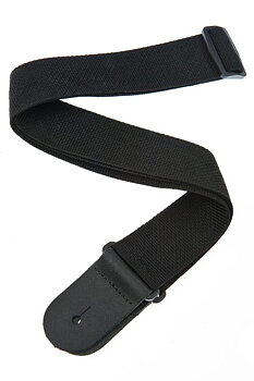 D'Addario PWS100