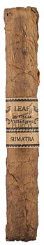 Leaf by Oscar Sumatra Toro