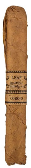 Leaf by Oscar CorojoToro