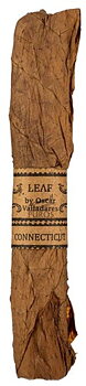 Leaf by Oscar Connecticut Toro