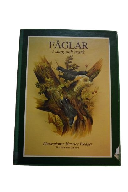 Fåglar i skog och mark