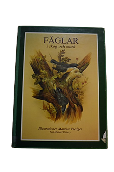 Fåglar i skog och mark