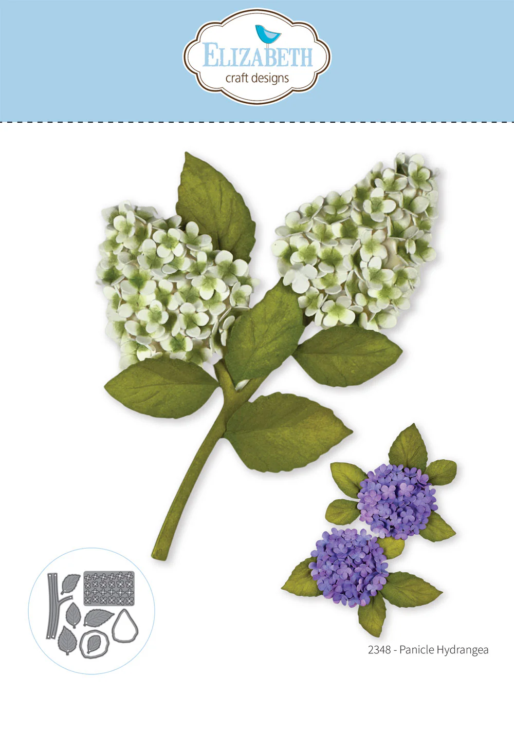 Elizabeth - Dies - Panicle Hydrangea