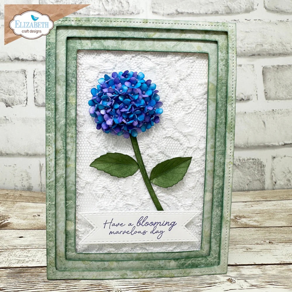 Elizabeth - Dies - Panicle Hydrangea - 4