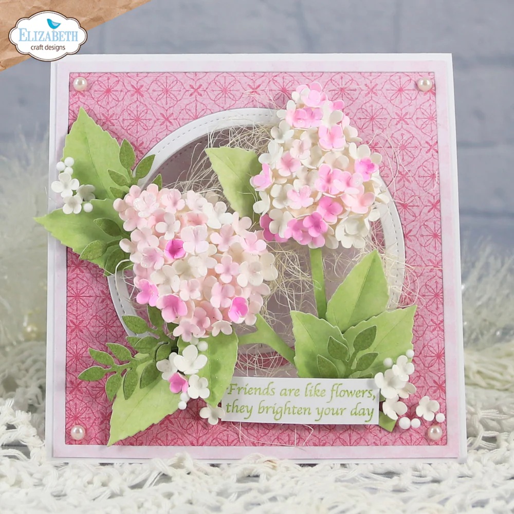 Elizabeth - Dies - Panicle Hydrangea - 3