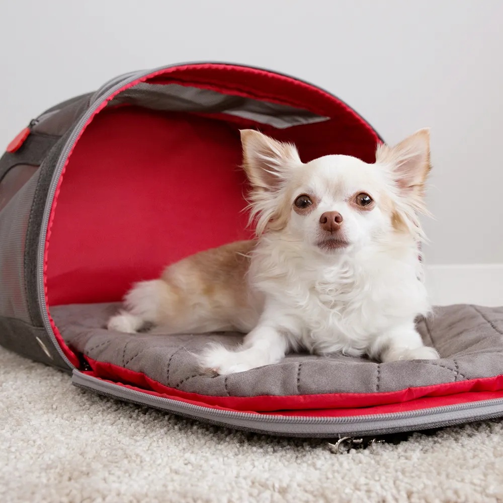 Kong 2-in-1 Pet Carrier & Travel Mat 51x23x33cm  - 3