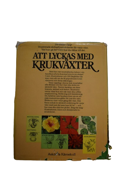 Att lyckas med krukväxter - 2