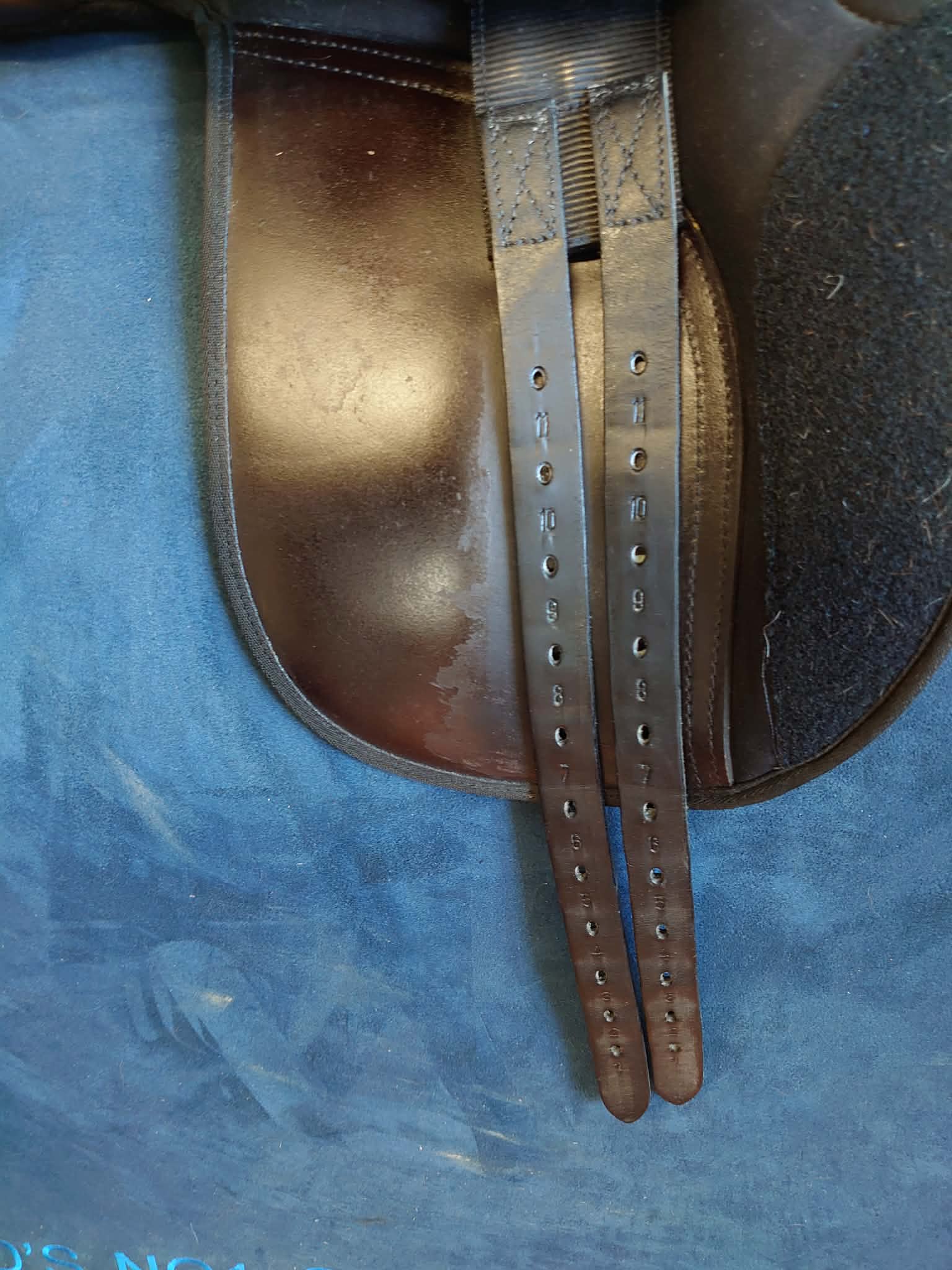 Ponni dressursal fra The Saddle Company - 6