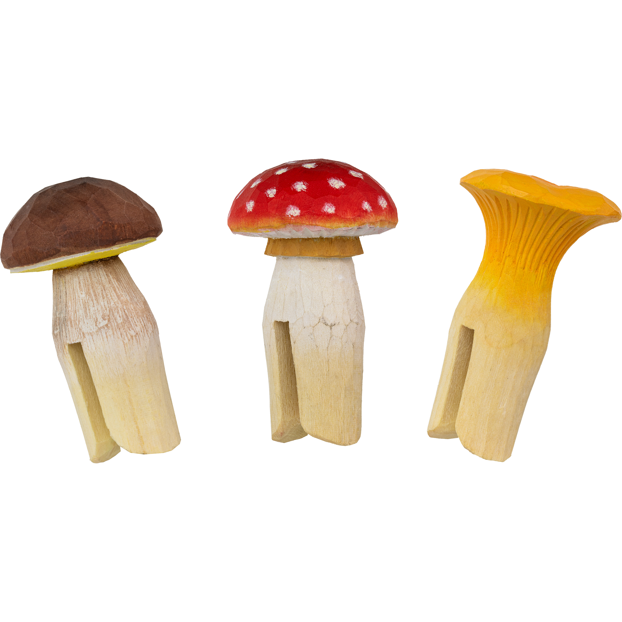Décor Forestier – Champignons avec amanite tue-mouches, girolle et cèpe placés sur une branche avec bourgeons printaniers.