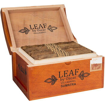 Leaf by Oscar Sumatra Toro
